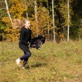 Zestaw Skippi - Hobby Horse Gniady - Derka szary i brąz - Kantar j-zielony