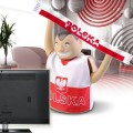 Solarny Kibic - Polska