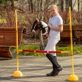 Hobby Horse Skippi - koń na kiju - Gniado - srokaty