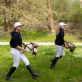 Hobby Horse Skippi - koń na kiju - Biszkopt