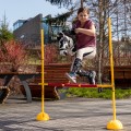 Zestaw Skippi - Hobby Horse Karo - srokaty - Derka wrzos - Kantar błękitny